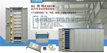 12芯光纤分线盒 塑料分线盒 12芯光纤分线盒